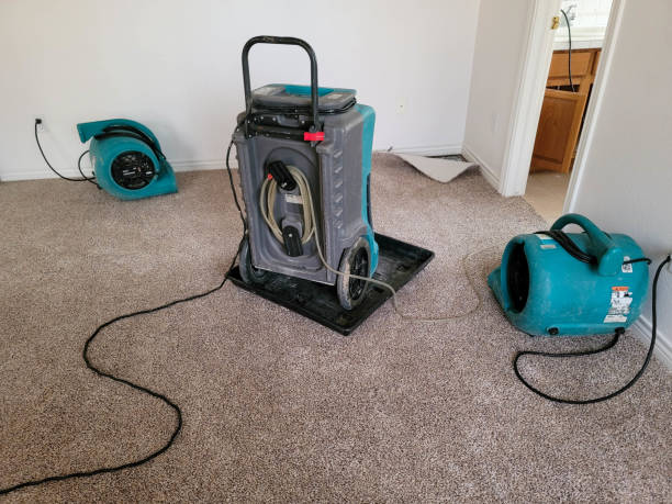 Best Flood damage cleanup  in Parachute, CO