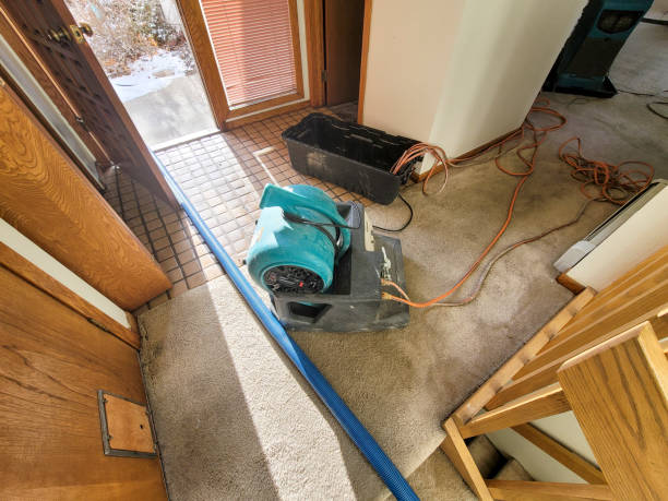Best 24-hour water damage restoration  in Parachute, CO