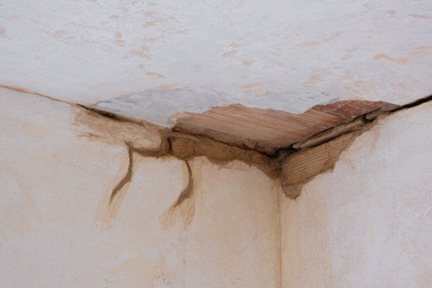 Best Commercial water damage restoration  in Parachute, CO