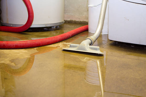 Best 24/7 water damage repair  in Parachute, CO