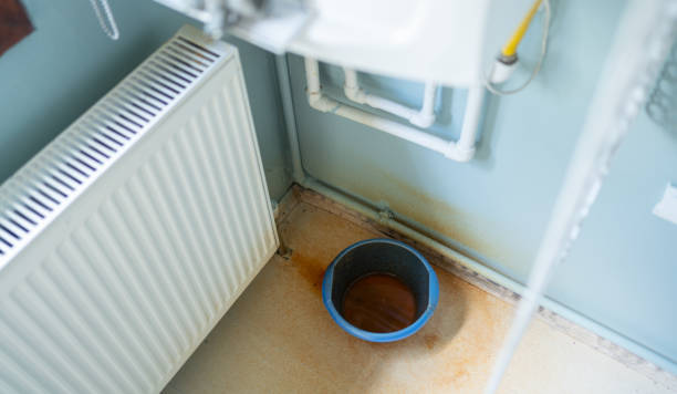 Best Professional water damage repair  in Parachute, CO