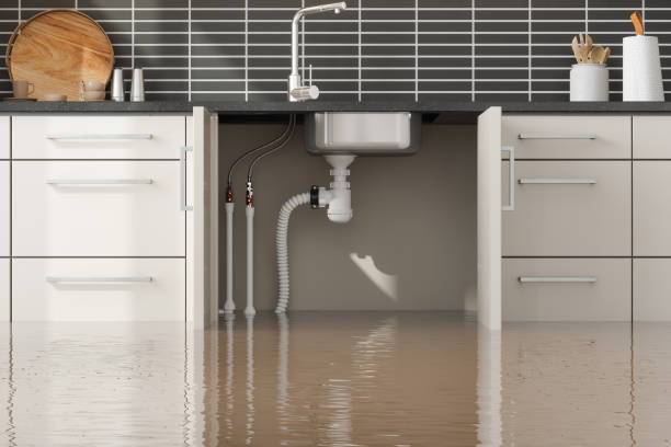 Best Local water damage restoration  in Parachute, CO