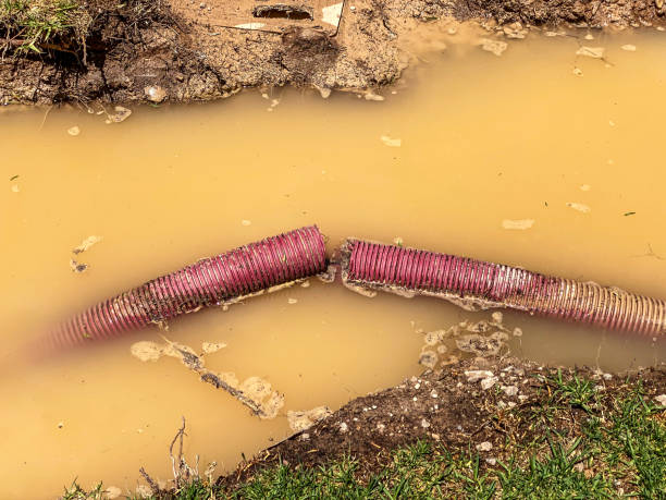 Best Water damage contractors near me  in Parachute, CO